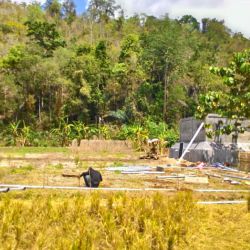 Indonésia Kendari Dezembro 2015